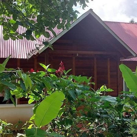 Cabanas Yax-Ha Arroyo Agua Azul Esterno foto