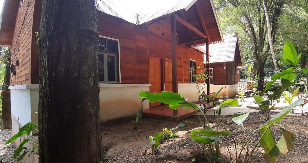 Cabanas Yax-Ha Arroyo Agua Azul Esterno foto