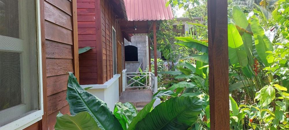 Cabanas Yax-Ha Arroyo Agua Azul Esterno foto