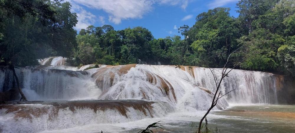 Cabanas Yax-Ha Arroyo Agua Azul Esterno foto