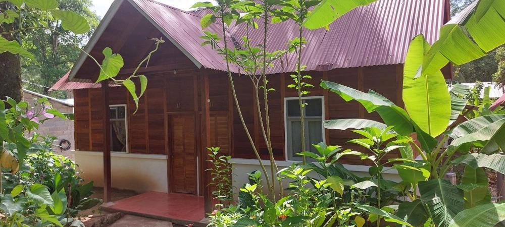 Cabanas Yax-Ha Arroyo Agua Azul Esterno foto