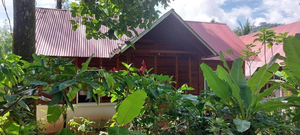 Cabanas Yax-Ha Arroyo Agua Azul Esterno foto