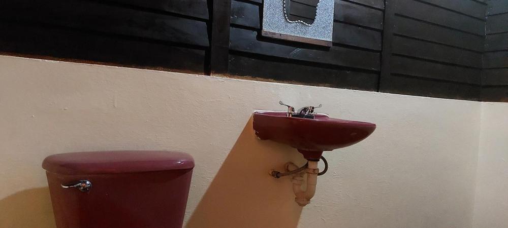 Cabanas Yax-Ha Arroyo Agua Azul Esterno foto